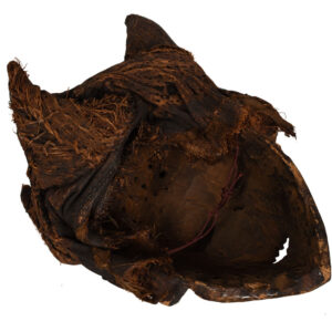Mask with 5 horns - Wood - Pende - Congo DRC