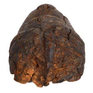 Initiation mask - Wood - Punu - Gabon