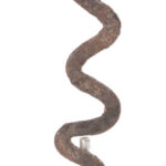 Snake currency - Lobi - Bronze - Iron - Burkina Faso