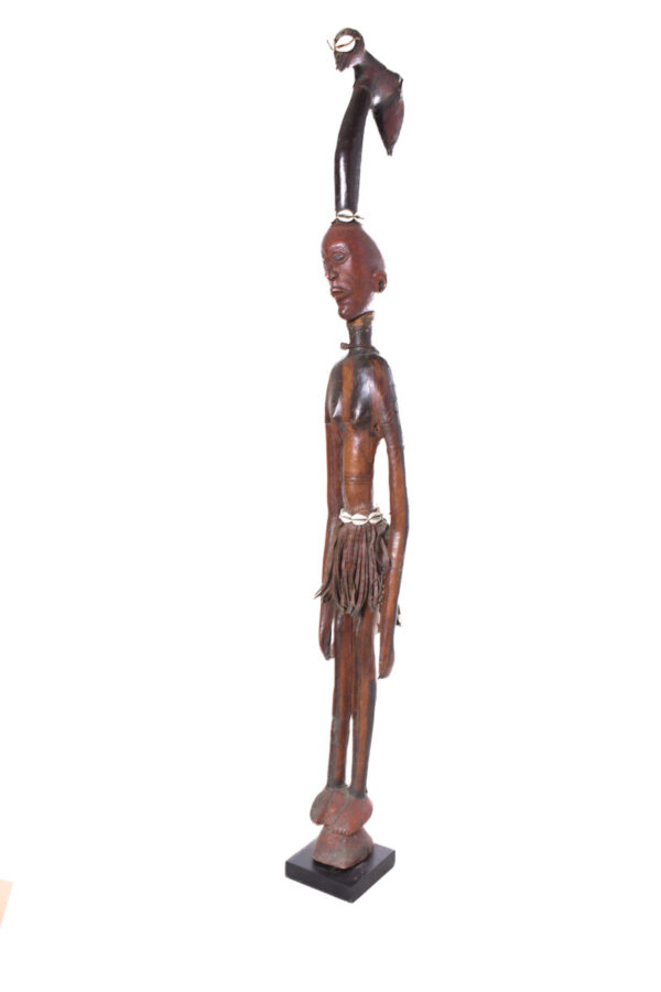 Walking stick - Wood, Antelope skin - Ekoi - Nigeria