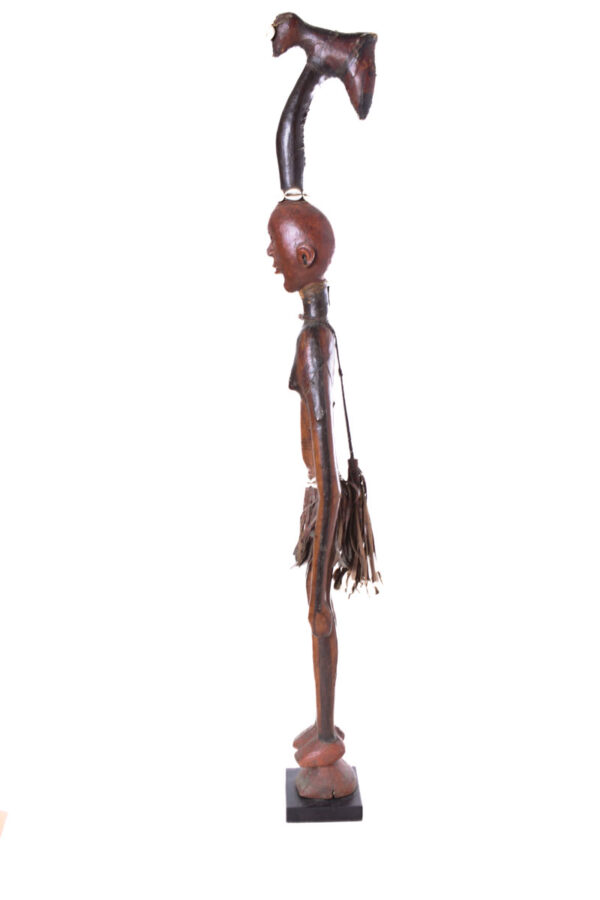 Walking stick - Wood, Antelope skin - Ekoi - Nigeria