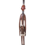 Walking stick - Wood, Antelope skin - Ekoi - Nigeria