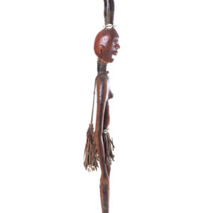 Walking stick - Wood, Antelope skin - Ekoi - Nigeria