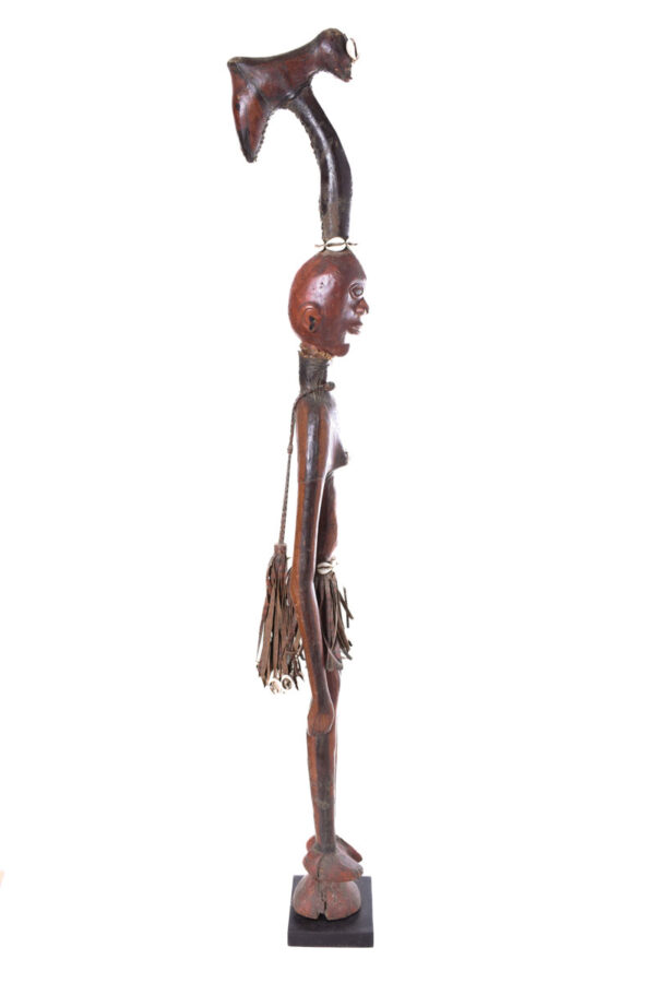 Walking stick - Wood, Antelope skin - Ekoi - Nigeria