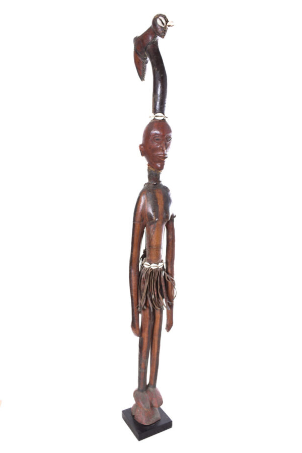 Walking stick - Wood, Antelope skin - Ekoi - Nigeria