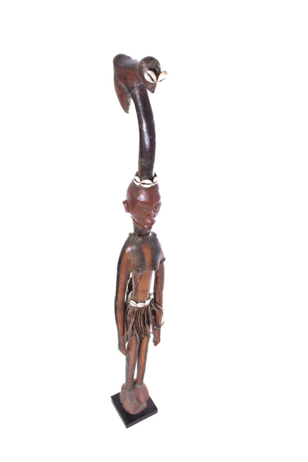 Walking stick - Wood, Antelope skin - Ekoi - Nigeria