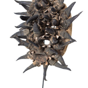 War mask - Wood, Horn, Teeth - Guere - Ivory Coast - Image 2