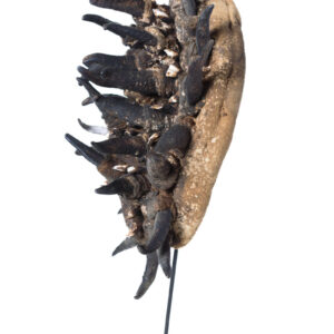 War mask - Wood, Horn, Teeth - Guere - Ivory Coast - Image 6