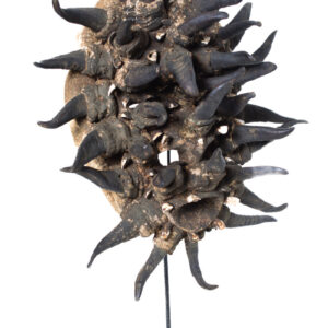War mask - Wood, Horn, Teeth - Guere - Ivory Coast - Image 5