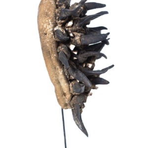 War mask - Wood, Horn, Teeth - Guere - Ivory Coast - Image 3
