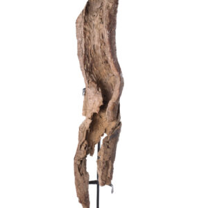 Ancestor Figure - Wood - Africa