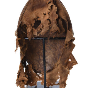 Mask - Wood - Agbogho Mmwo - IGBO / IBO - Nigeria