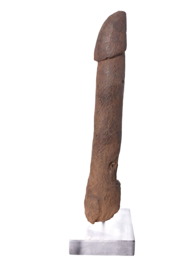 Pahllus- Wood- Congo