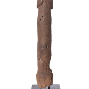 Pahllus- Wood- Congo