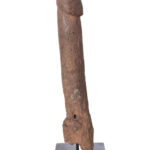 Pahllus- Wood- Congo