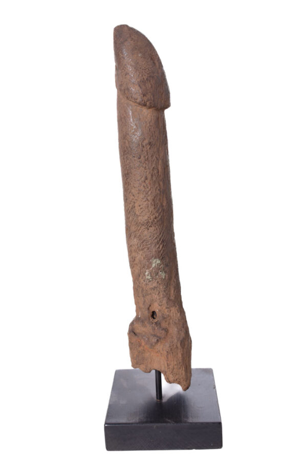 Pahllus- Wood- Congo