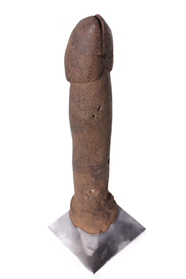 Pahllus- Wood- Congo
