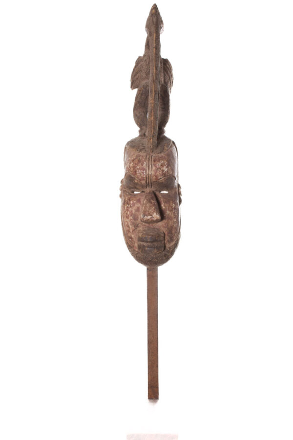 Hornbill mask - Wood - Sejen - Senufo - Ivory Coast