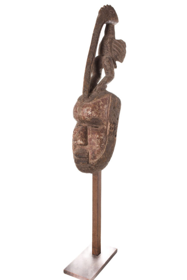 Hornbill mask - Wood - Sejen - Senufo - Ivory Coast