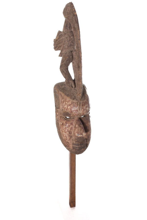 Hornbill mask - Wood - Sejen - Senufo - Ivory Coast