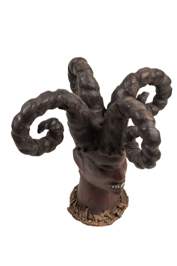 Crest Mask - Wood, Antelope skin - Ejagham - Ekoi - Nigeria