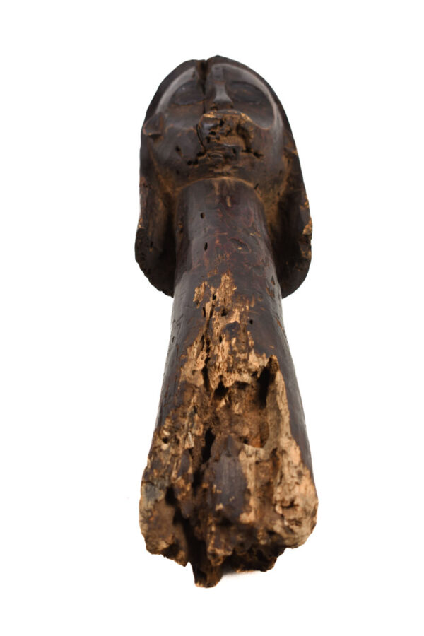 Reliquary Byeri Head - Wood - Fang - Gabon