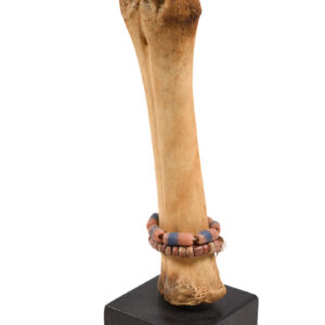 Fertility Doll - Bone, beads - Fali - Cameroon