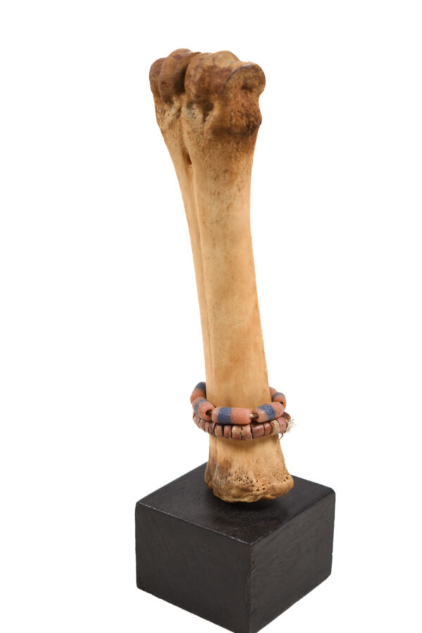 Fertility Doll - Bone, beads - Fali - Cameroon