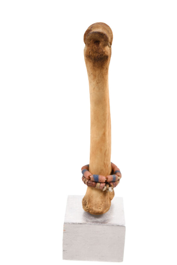 Fertility Doll - Bone, beads - Fali - Cameroon
