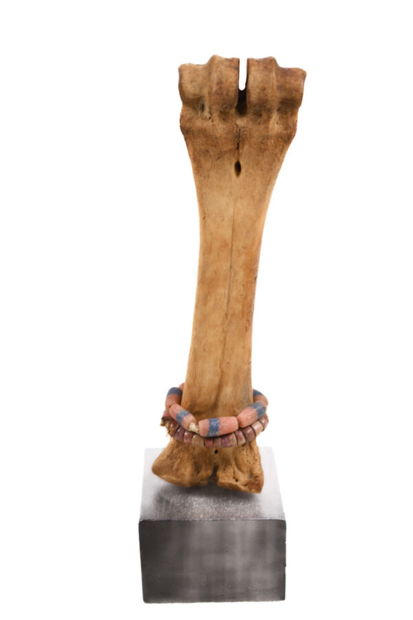 Fertility Doll - Bone, beads - Fali - Cameroon