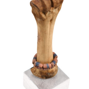 Fertility Doll - Bone, beads - Fali - Cameroon