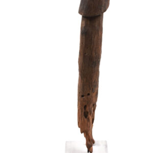 Phallus- Wood- Congo