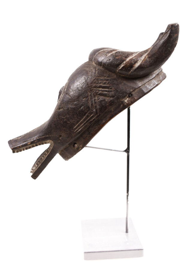 Buffalo mask - Wood - Guro Zamble - Ivory Coast