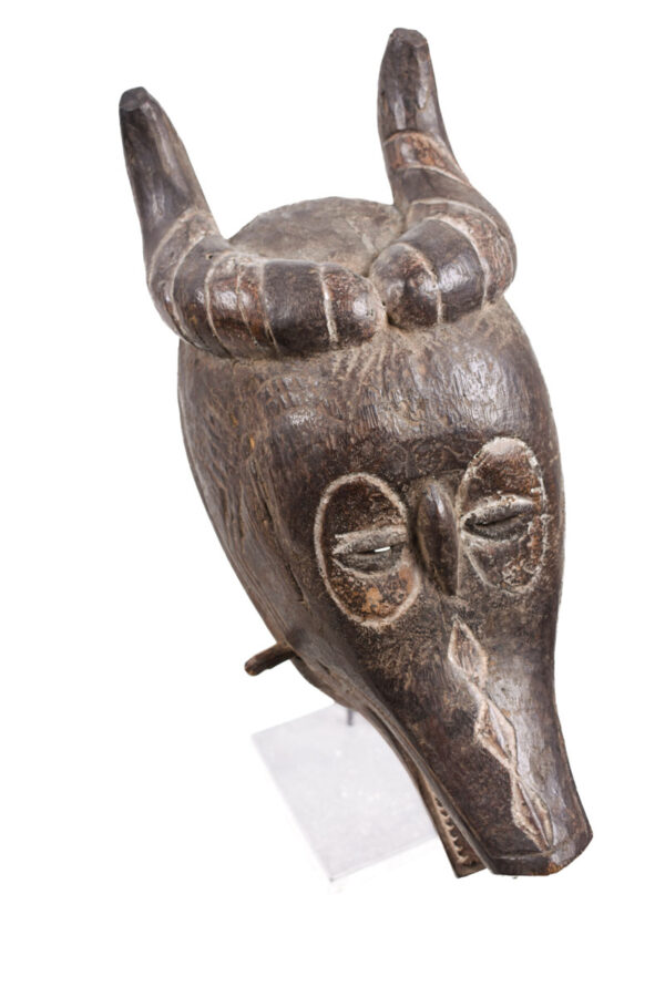 Buffalo mask - Wood - Guro Zamble - Ivory Coast