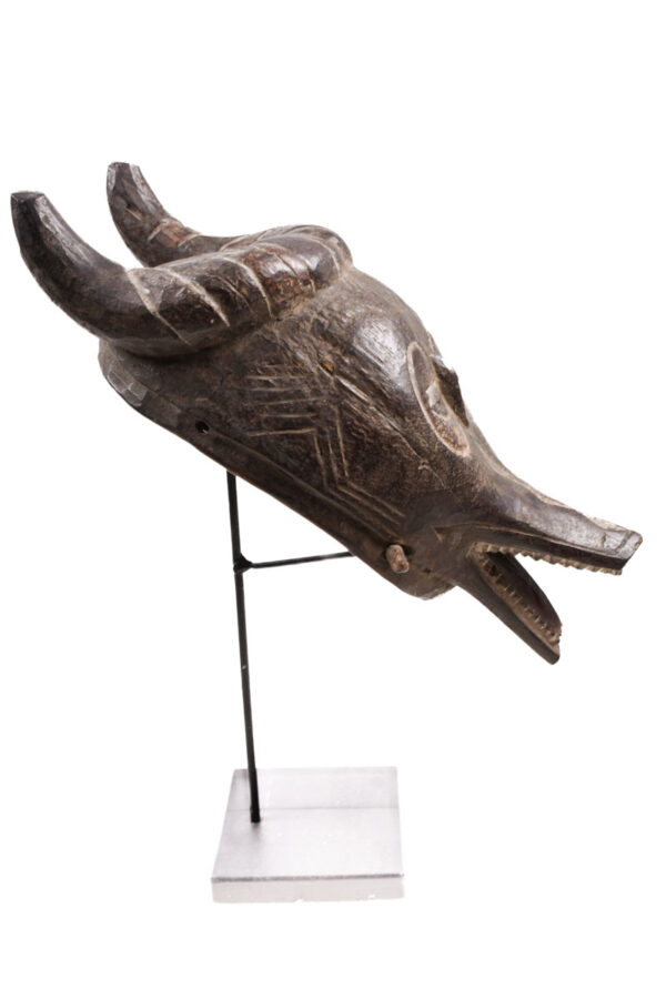 Buffalo mask - Wood - Guro Zamble - Ivory Coast