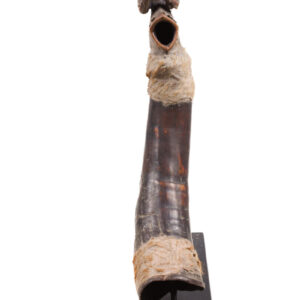 Horn - Buffalo horn - Yaka - DR Congo