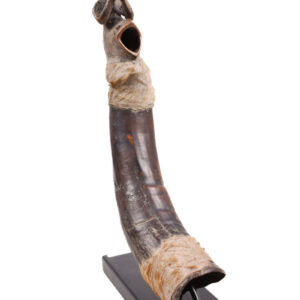 Horn - Buffalo horn - Yaka - DR Congo