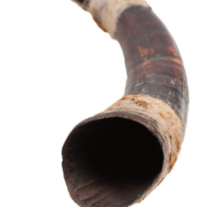 Horn - Buffalo horn - Yaka - DR Congo