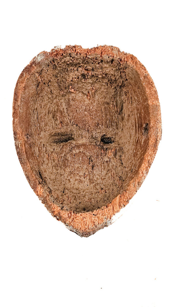 Mask - Wood - Kwele - Gabon