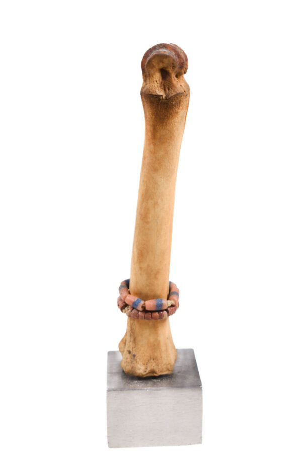 Fertility Doll - Bone, beads - Fali - Cameroon