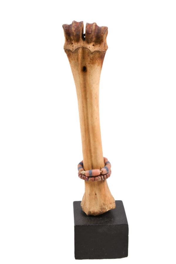 Fertility Doll - Bone, beads - Fali - Cameroon