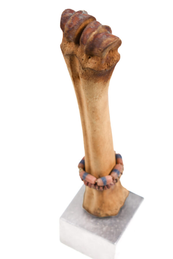 Fertility Doll - Bone, beads - Fali - Cameroon