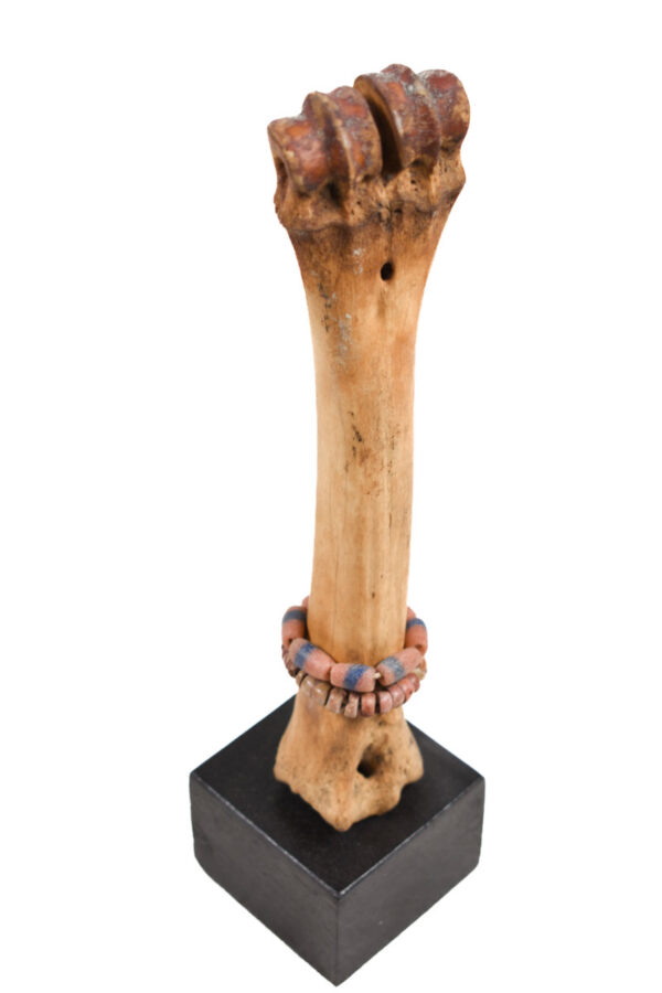 Fertility Doll - Bone, beads - Fali - Cameroon