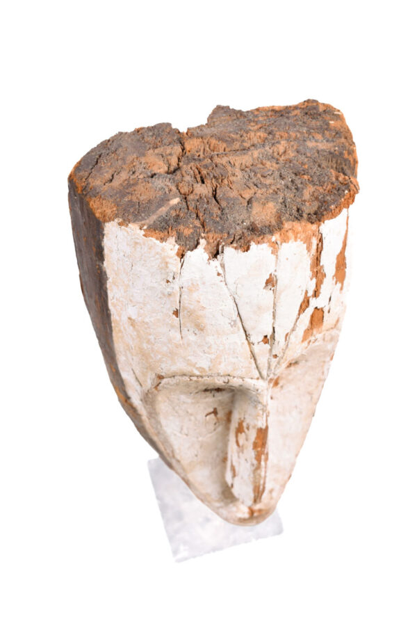 Ngil mask - Wood - Fang - Gabon