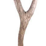 Ladder - Wood - Dogon - Mali