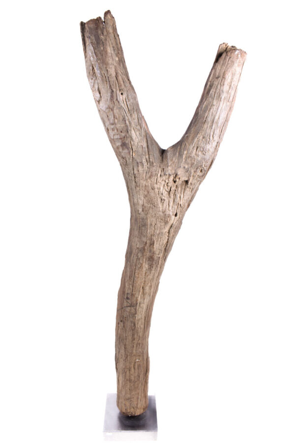 Ladder - Wood - Dogon - Mali