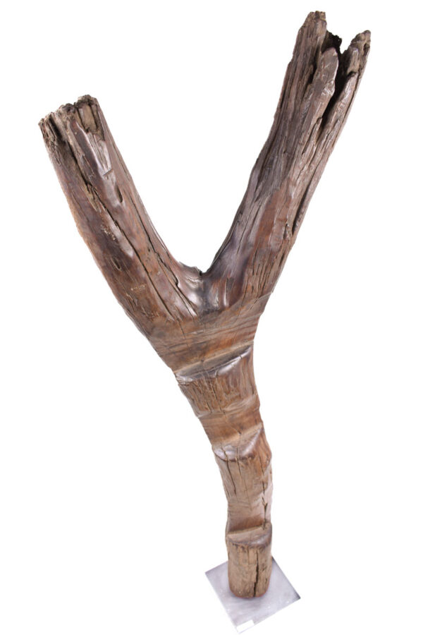 Ladder - Wood - Dogon - Mali