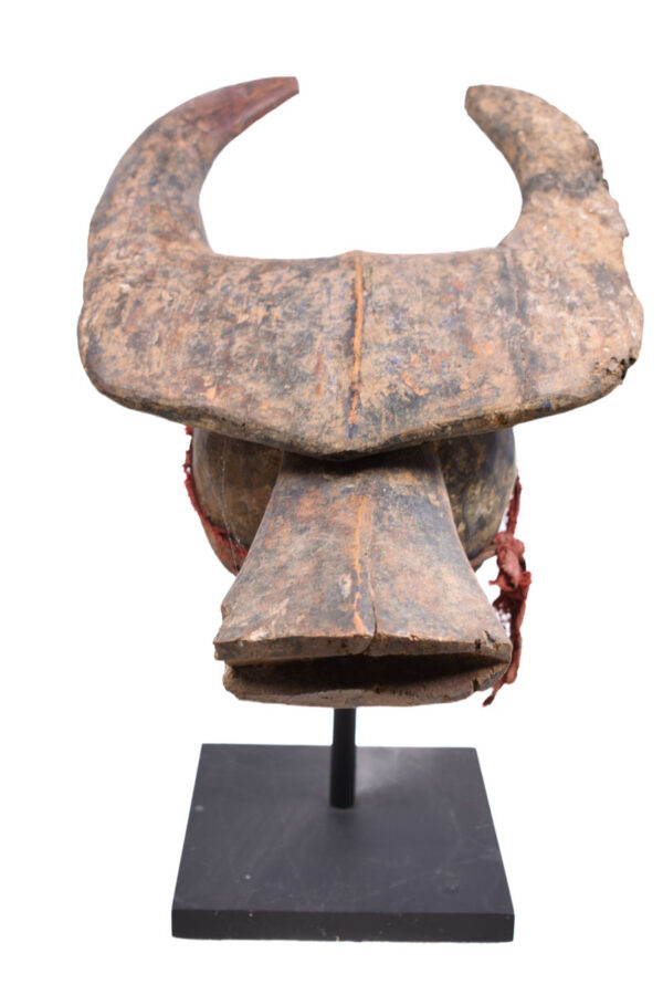 Buffalo Mask - Wood - Mama - Nigeria