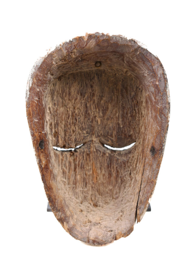 Mask - Wood - Fang - Gabon
