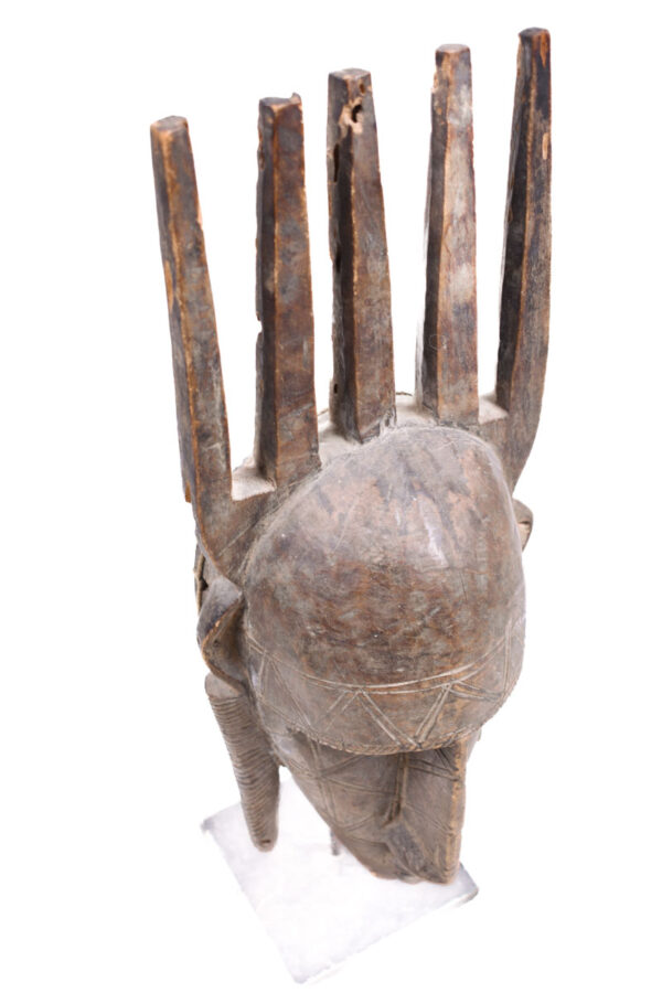 Ntomo mask - Wood - Bambara - Mali